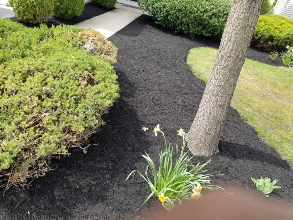 Custom yard maintenance experts serving East Windsor, NJ - Eduardo's Landscape & Lawn Service