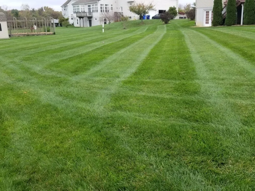 Expert landscape design in East Windsor, NJ by Eduardo's Landscape & Lawn Service