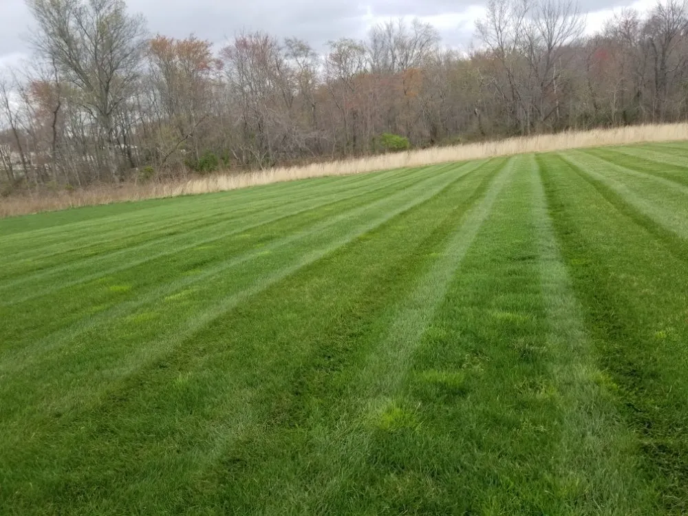 Top-rated outdoor landscaping in East Windsor, NJ - Eduardo's Landscape & Lawn Service