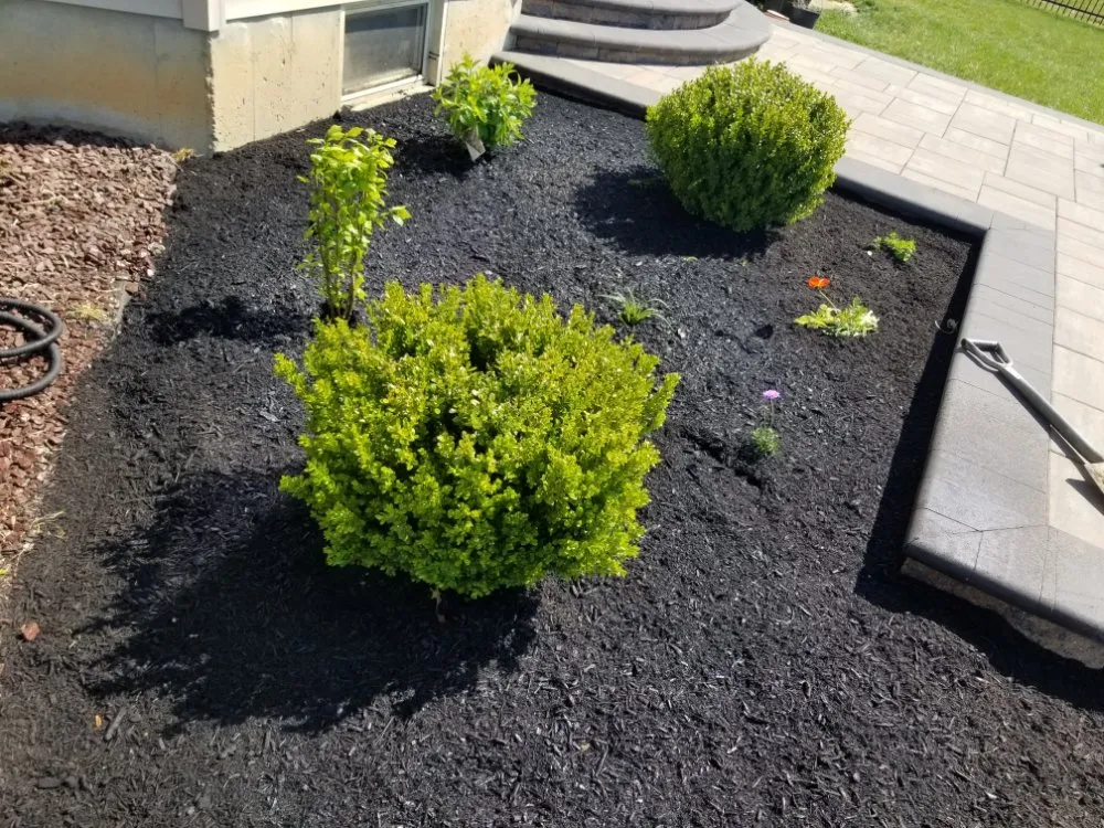 Professional yard cleanup service near you across East Windsor, NJ - Eduardo's Landscape & Lawn Service