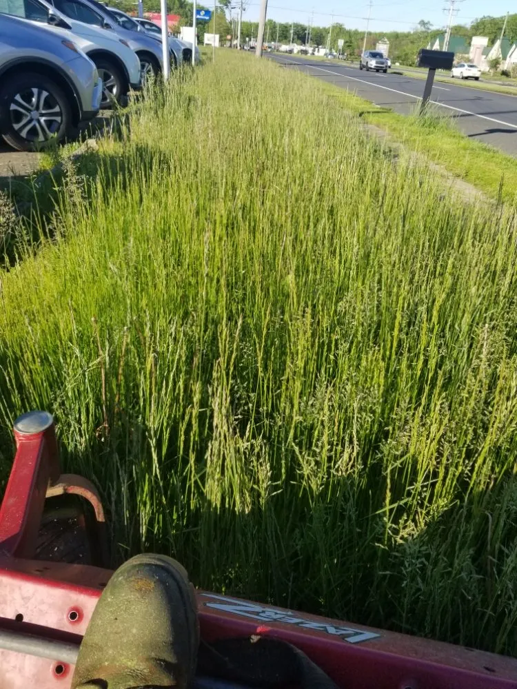 Professional residential landscaping in East Windsor, NJ - Eduardo's Landscape & Lawn Service