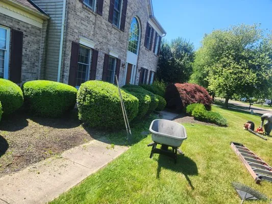 Eduardo's Landscape & Lawn Service