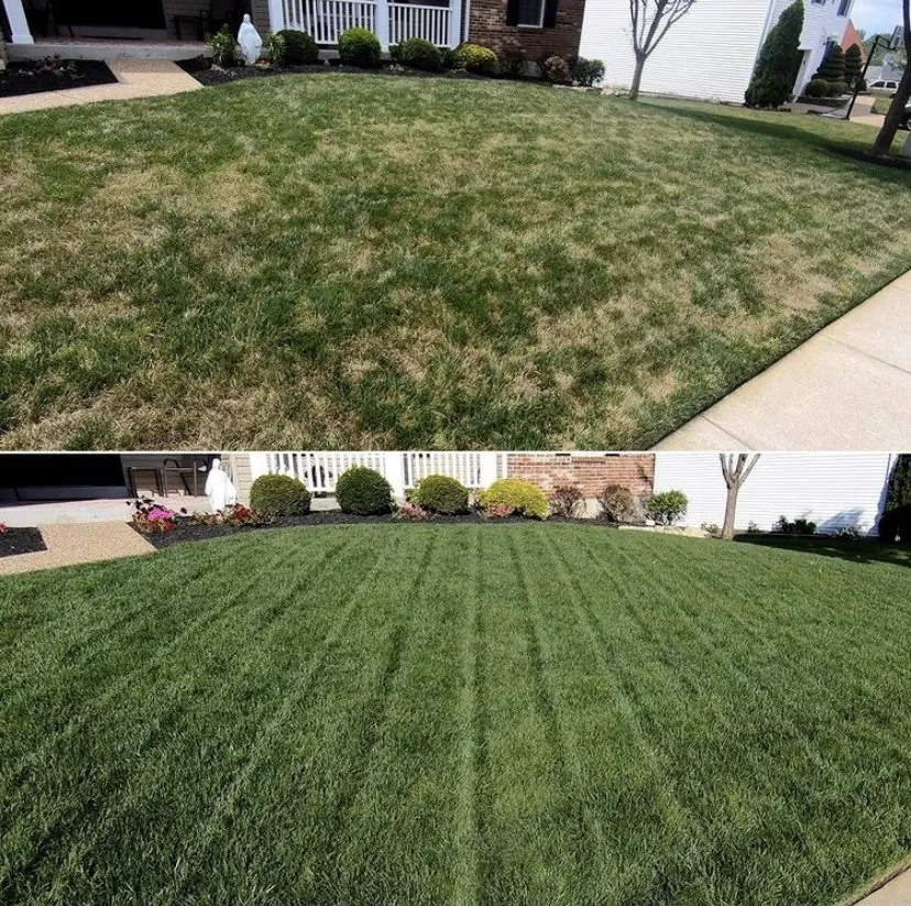 Expert landscaping services for year-round maintenance across Oklahoma City, OK - Eduardo’s landscaping & painting