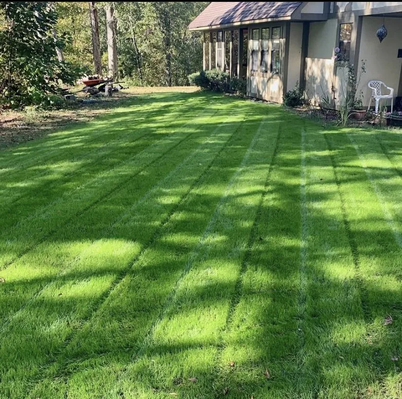 Professional landscaping services experts serving Oklahoma City, OK - Eduardo’s landscaping & painting