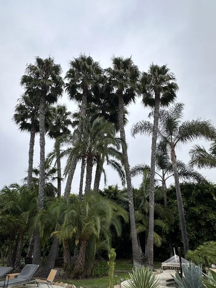 Reliable residential landscaping near you across San Diego, CA - Eduardo's Landscaping And Tree Services