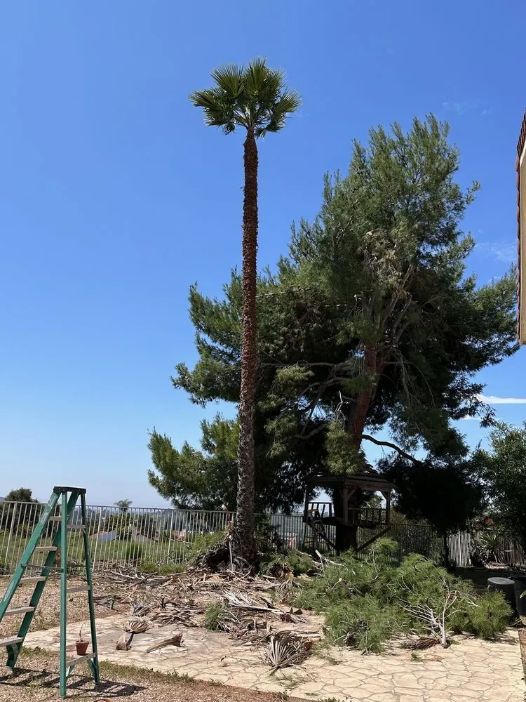 Top-rated outdoor landscaping experts serving San Diego, CA - Eduardo's Landscaping And Tree Services