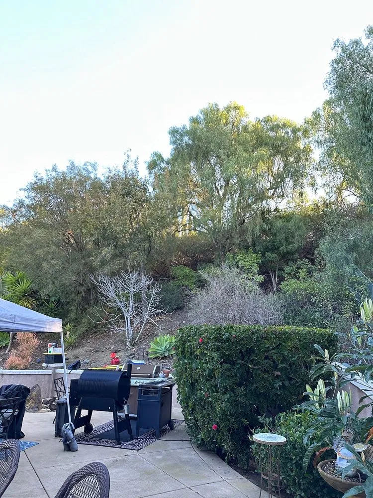 Custom landscape design for year-round maintenance in San Diego, CA by Eduardo's Landscaping And Tree Services