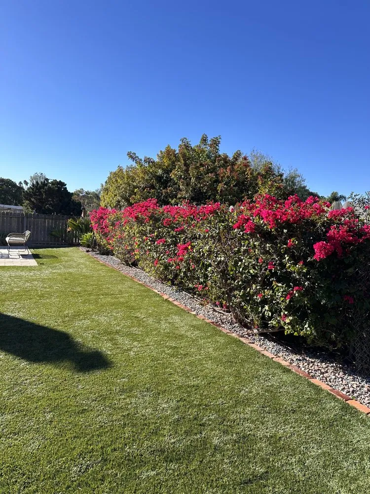 Professional residential landscaping in San Diego, CA by Eduardo's Landscaping And Tree Services
