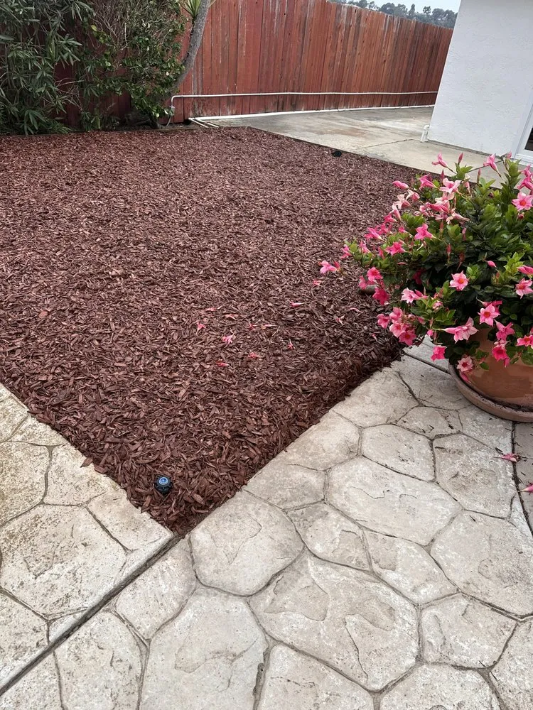 Top-rated landscape installation in San Diego, CA - Eduardo's Landscaping And Tree Services