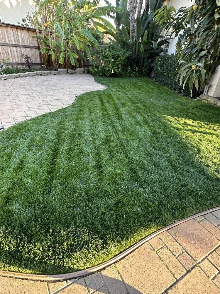 Expert landscaping services in San Diego, CA by Eduardo's Landscaping And Tree Services