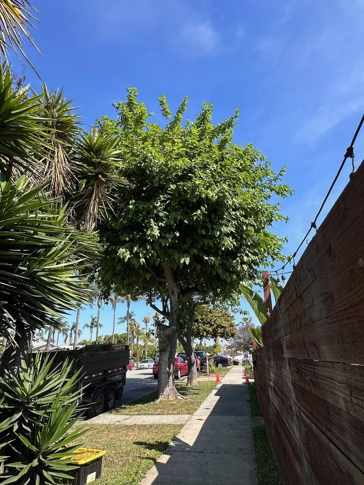 Custom landscaping services near you across San Diego, CA - Eduardo's Landscaping And Tree Services