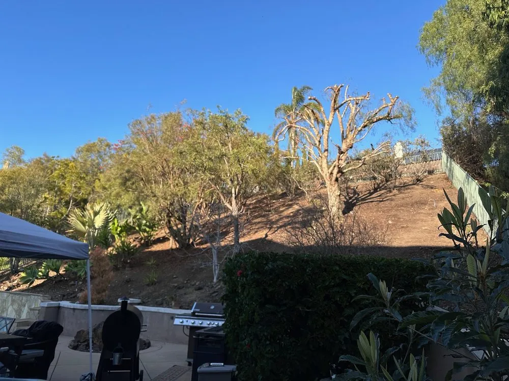 Local garden landscaping for year-round maintenance across San Diego, CA - Eduardo's Landscaping And Tree Services