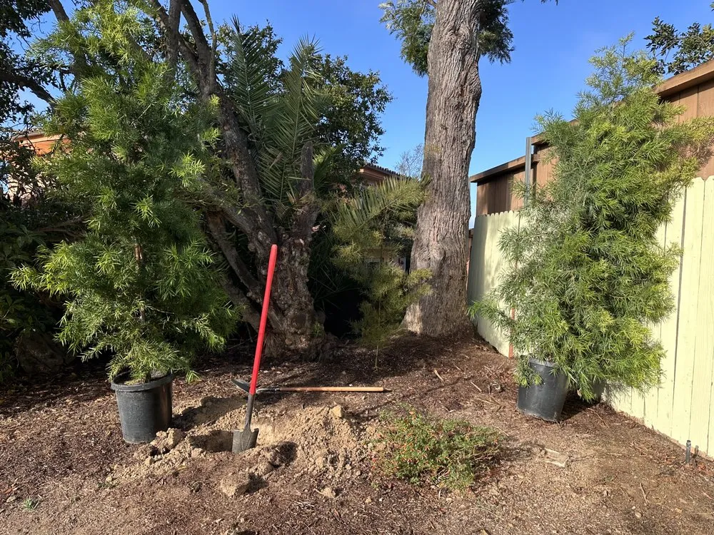 Top-rated residential landscaping for beautiful yards across San Diego, CA - Eduardo's Landscaping And Tree Services
