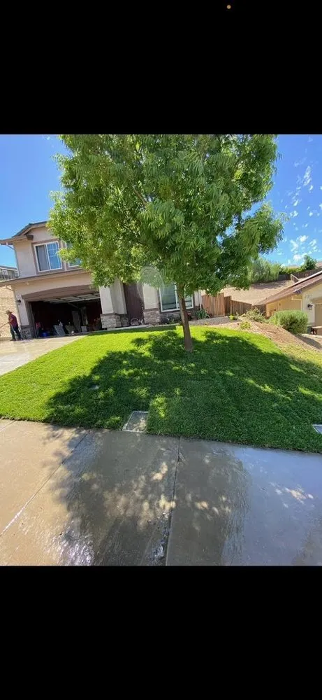 Top-rated landscaping services for year-round maintenance across Antioch, CA - Eduardo’s Landscaping