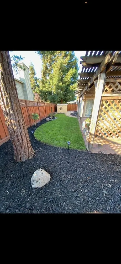 Professional yard maintenance in Antioch, CA by Eduardo’s Landscaping