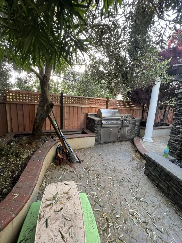 Professional yard cleanup service for year-round maintenance in Antioch, CA by Eduardo’s Landscaping