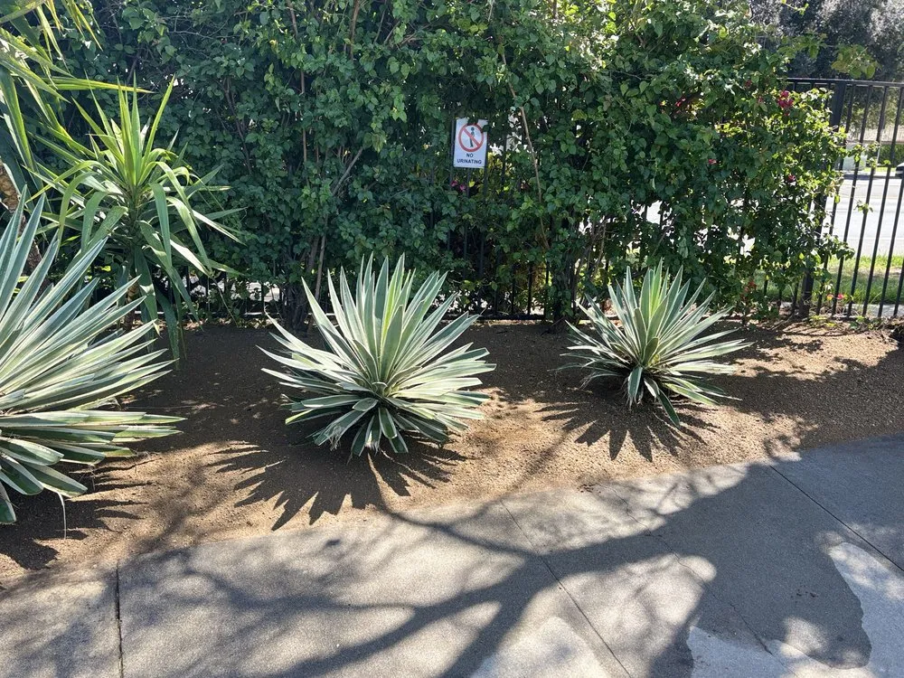 Professional residential landscaping for homes across Santa Susana, CA - Eduardo’s Landscaping Gardener