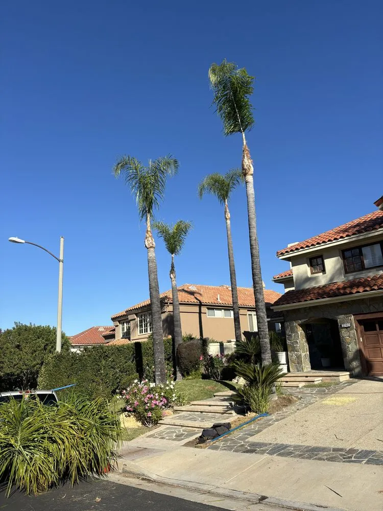 Professional yard cleanup service experts serving Santa Susana, CA - Eduardo’s Landscaping Gardener