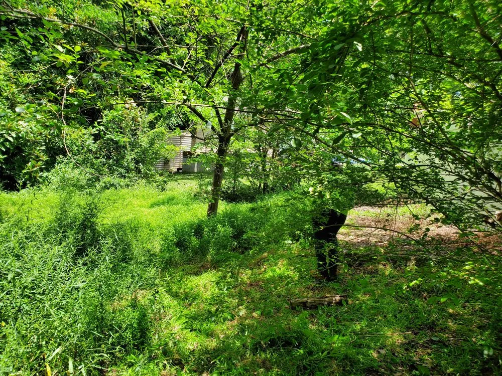 Professional lawn mowing service in Burlington, NC by Eduardo's Lawn Care