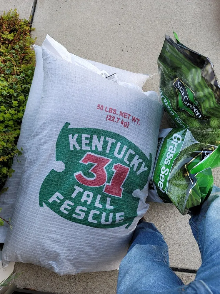 Top-rated landscaping services in Burlington, NC - Eduardo's Lawn Care