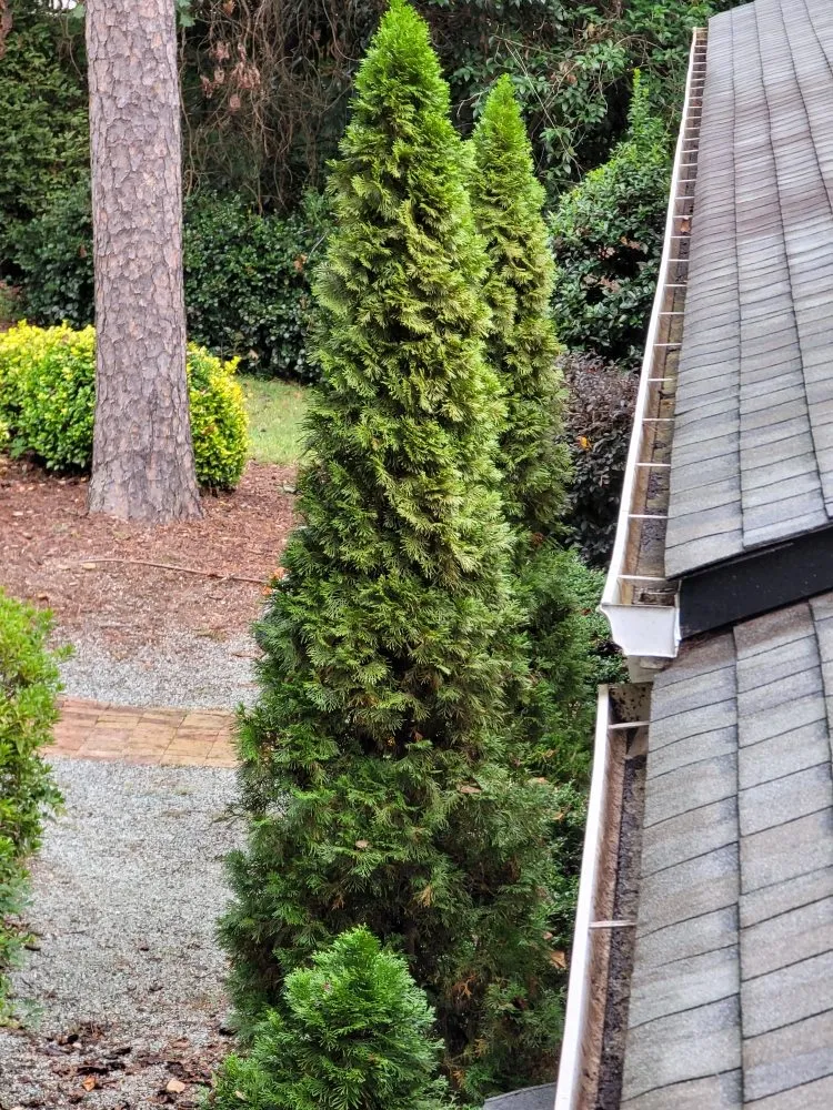 Local landscape design experts serving Burlington, NC - Eduardo's Lawn Care
