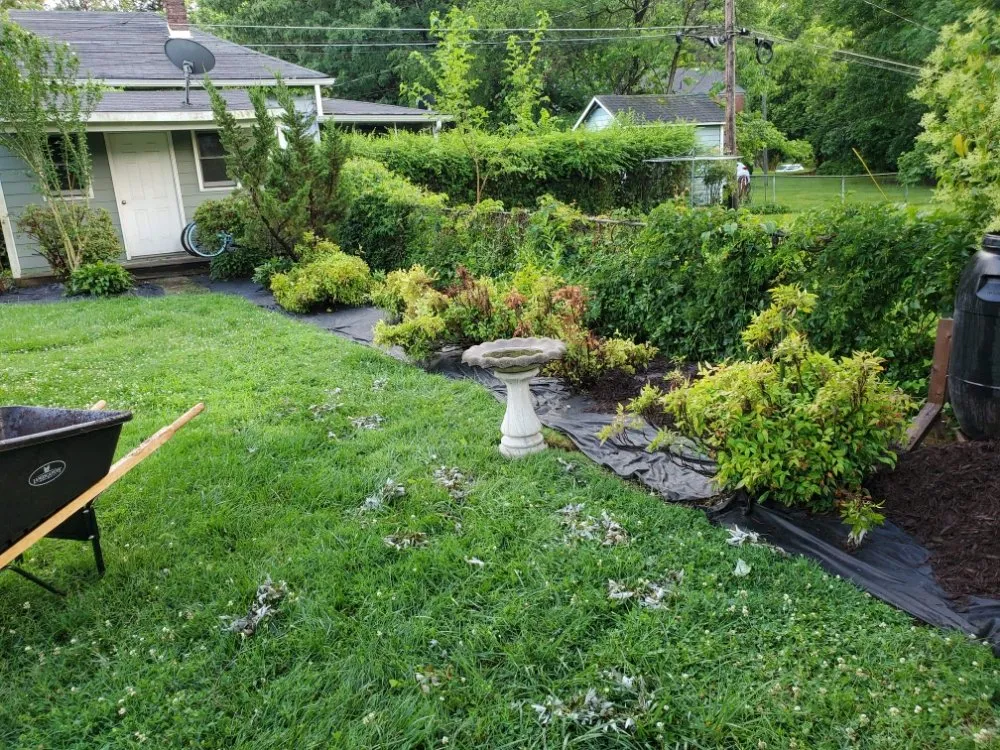 Expert lawn care service in Burlington, NC by Eduardo's Lawn Care