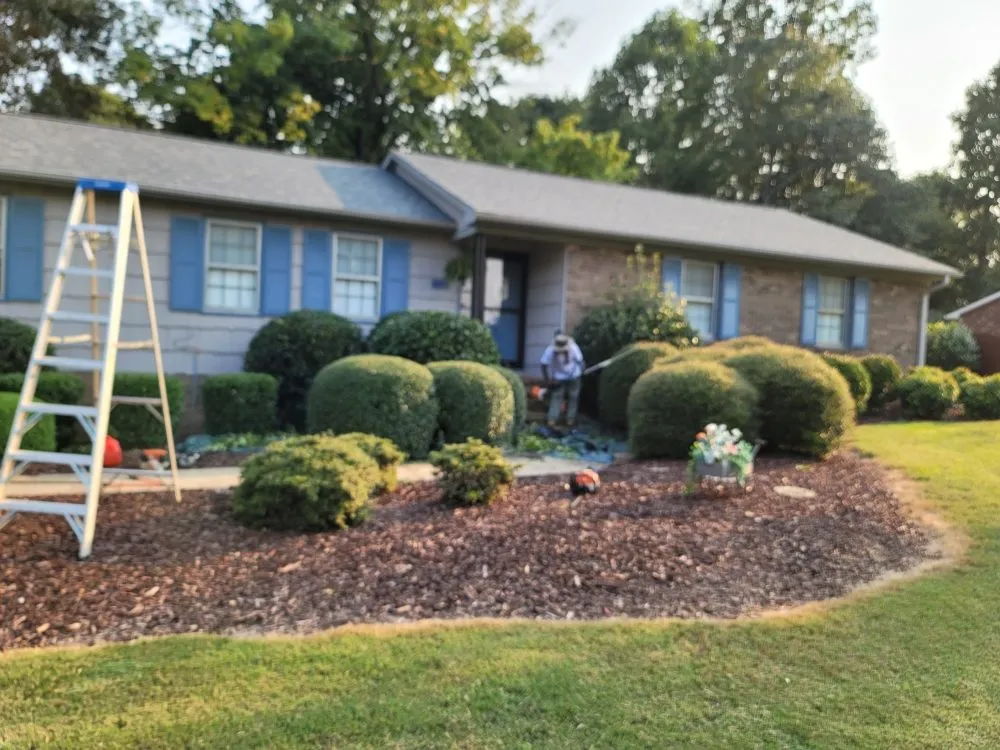 Expert yard cleanup service for residential properties in Burlington, NC by Eduardo's Lawn Care