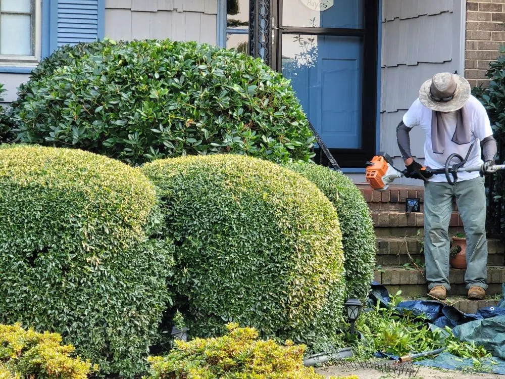 Local lawn care service near you in Burlington, NC by Eduardo's Lawn Care