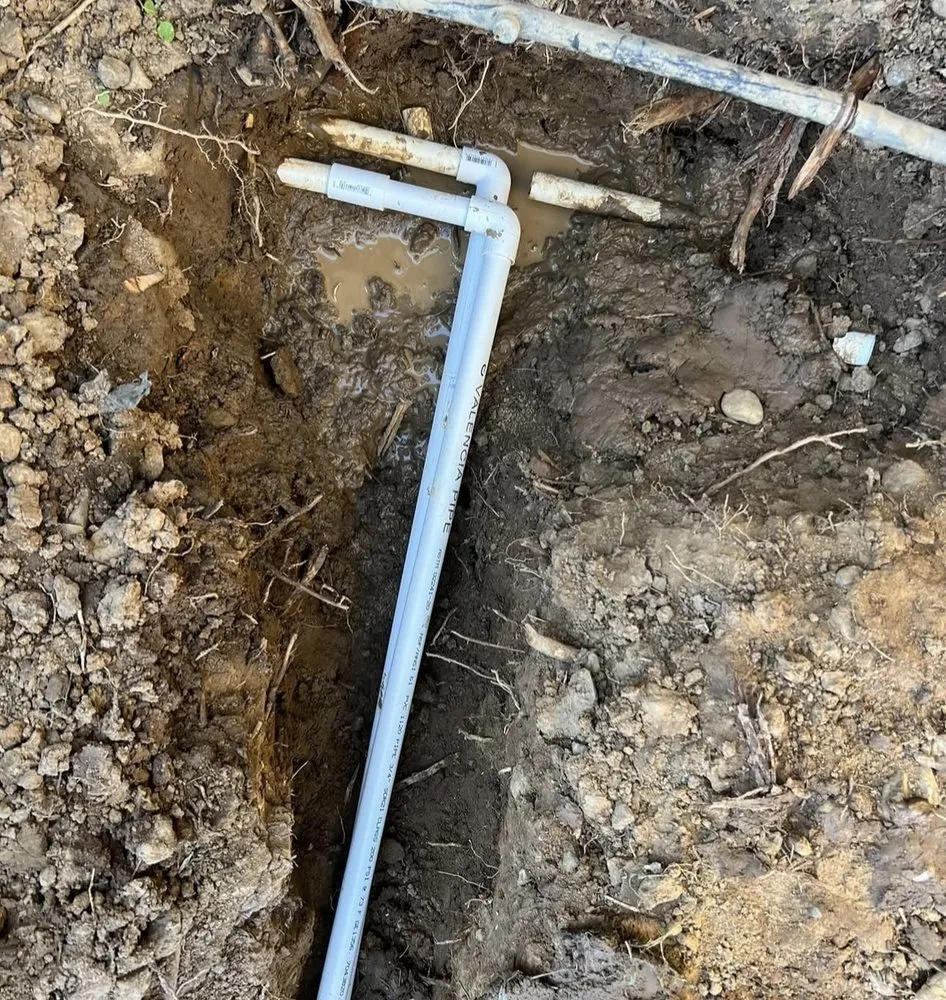 Custom landscape design in Lodi, CA by Eduardo’s Lawn Care Service