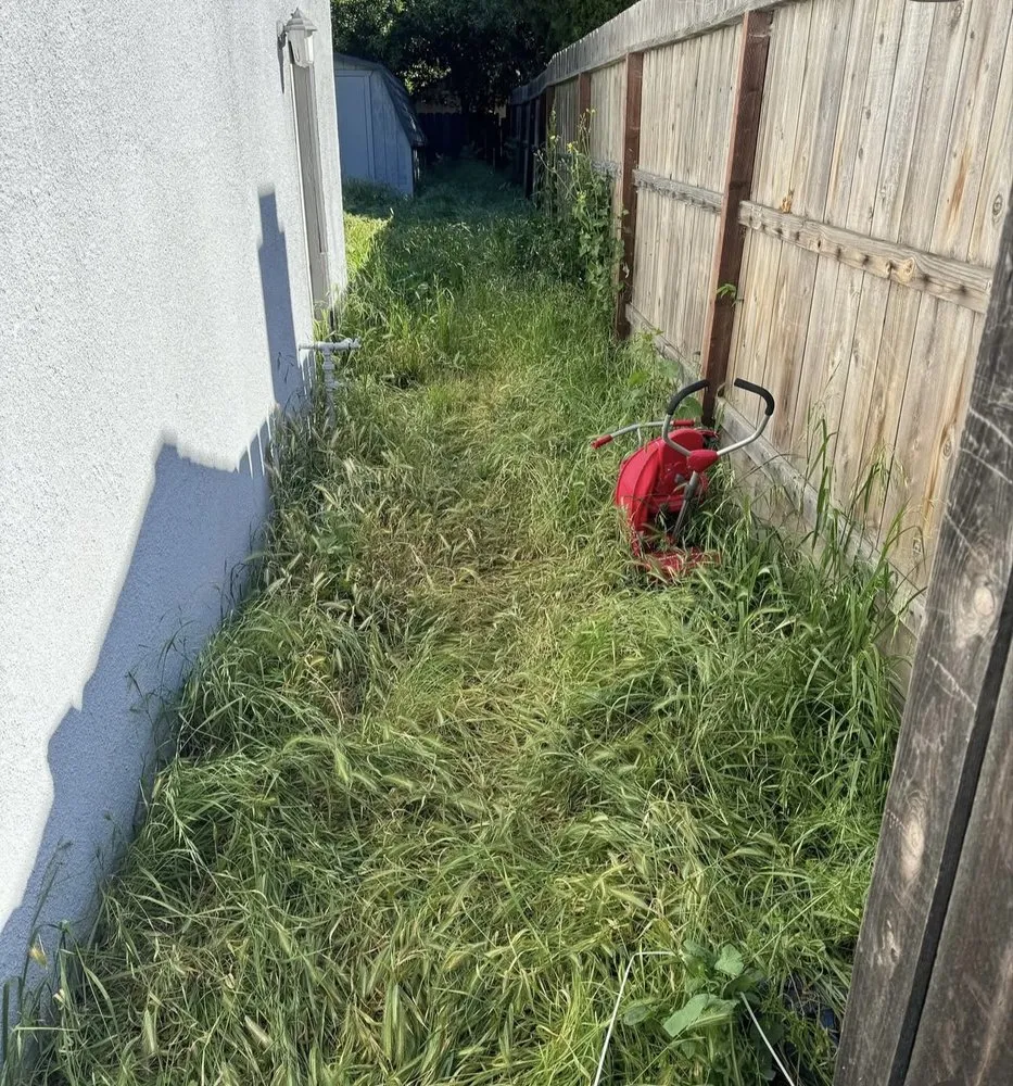Local lawn care service experts serving Lodi, CA - Eduardo’s Lawn Care Service