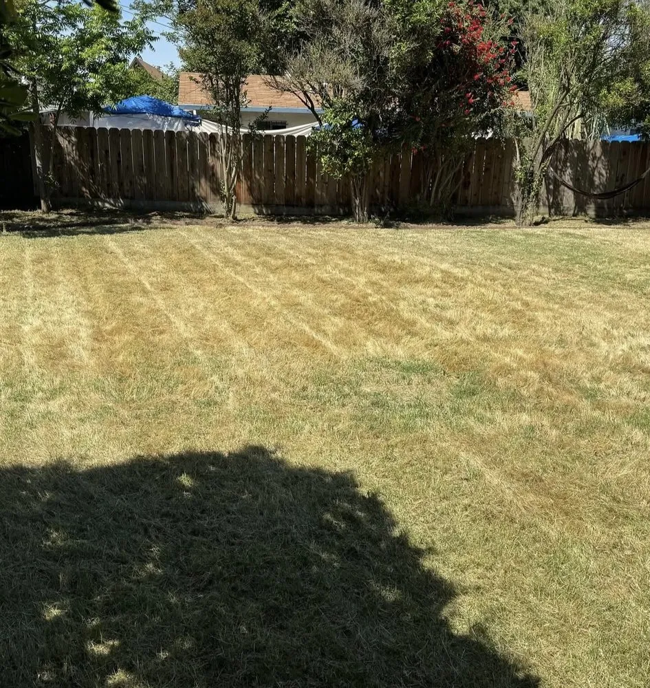 Top-rated lawn mowing service for year-round maintenance in Lodi, CA by Eduardo’s Lawn Care Service