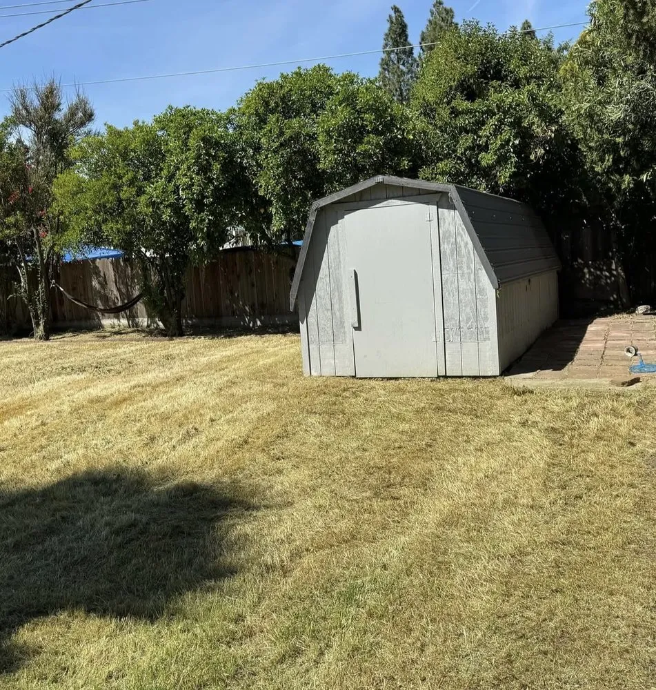 Trusted lawn care service experts serving Lodi, CA - Eduardo’s Lawn Care Service