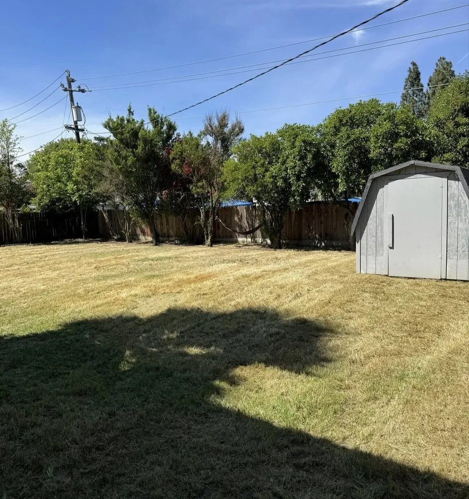 Reliable landscaping services for homes across Lodi, CA - Eduardo’s Lawn Care Service
