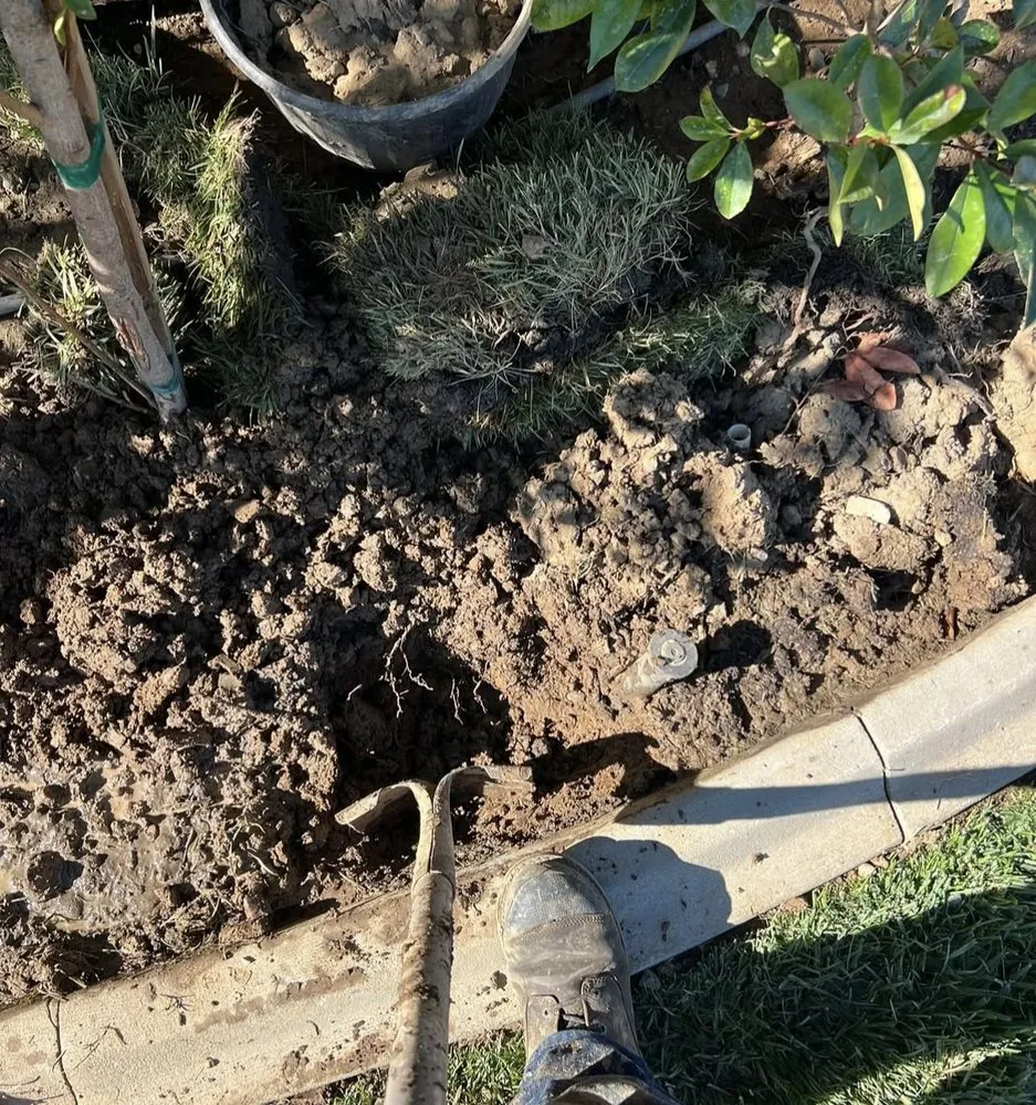 Custom lawn mowing service for outdoor upgrades in Lodi, CA by Eduardo’s Lawn Care Service