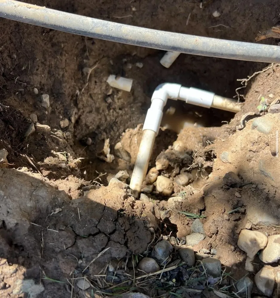 Expert yard cleanup service in Lodi, CA by Eduardo’s Lawn Care Service