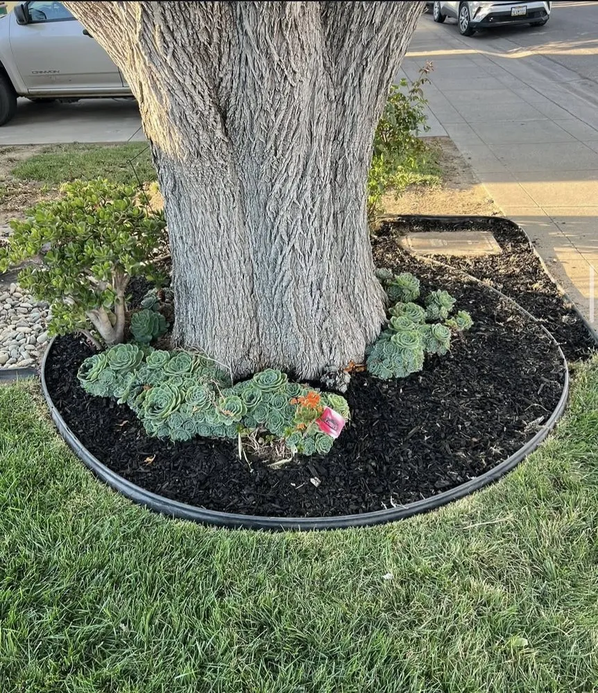 Top-rated landscaping services experts serving Lodi, CA - Eduardo’s Lawn Care Service