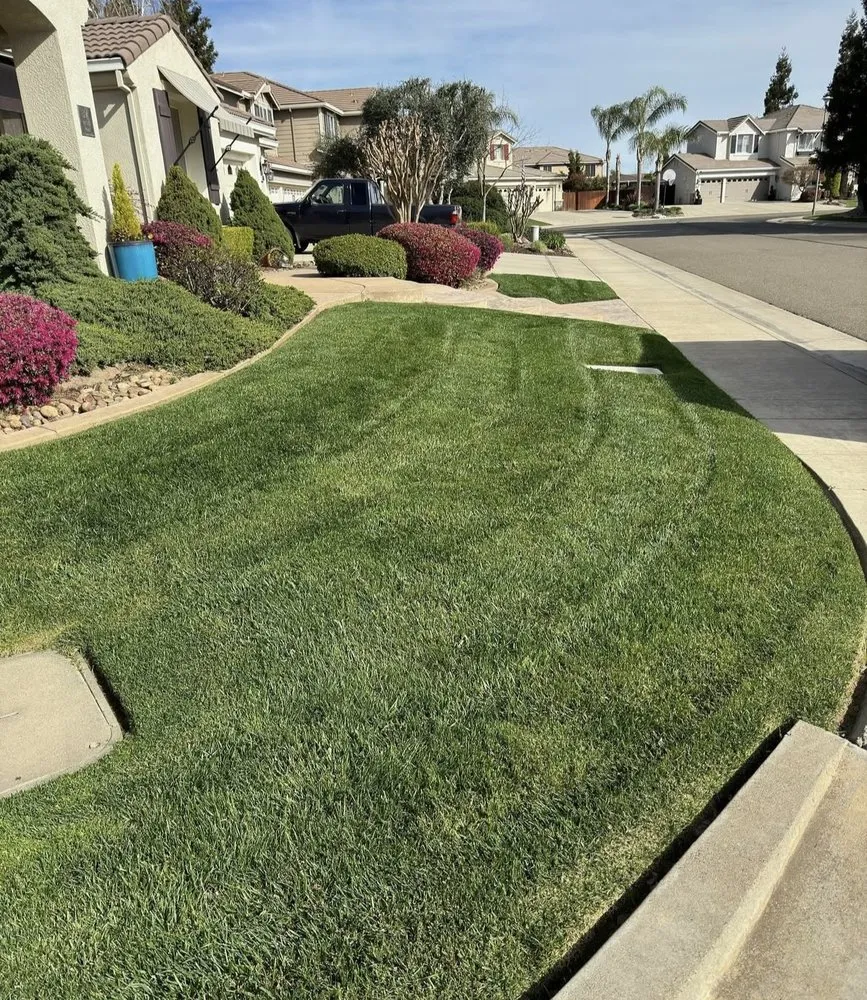 Reliable lawn care service in Lodi, CA by Eduardo’s Lawn Care Service