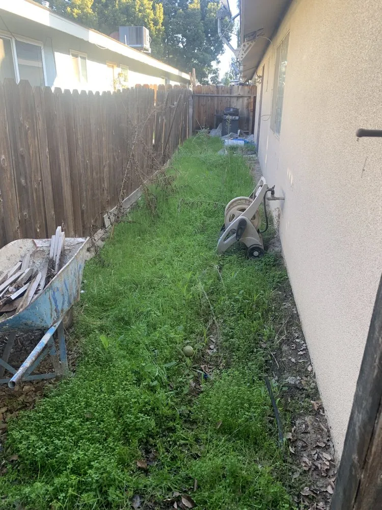 Expert landscaping services in Tulare, CA by Eduardos Lawn Care