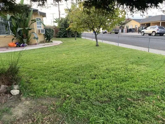 Eduardos Lawn Care Logo