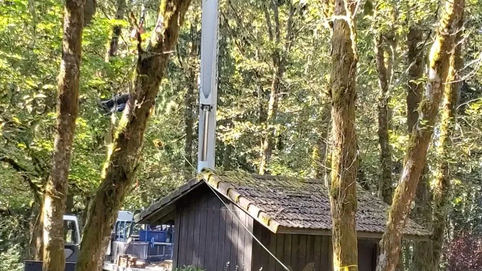 Top-rated landscape design for outdoor upgrades across Forest Grove, OR - Eduardo's Tree Service