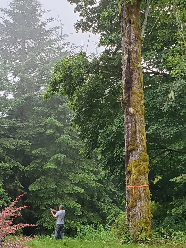 Top-rated residential landscaping in Forest Grove, OR by Eduardo's Tree Service