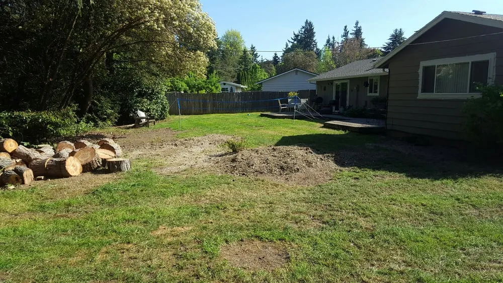 Top-rated residential landscaping experts serving Forest Grove, OR - Eduardo's Tree Service