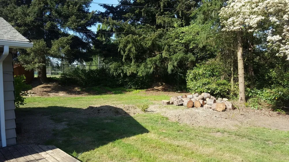 Professional landscaping services in Forest Grove, OR by Eduardo's Tree Service