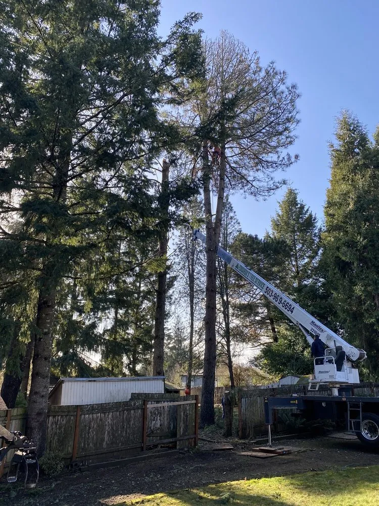 Expert residential landscaping with custom design in Forest Grove, OR by Eduardo's Tree Service