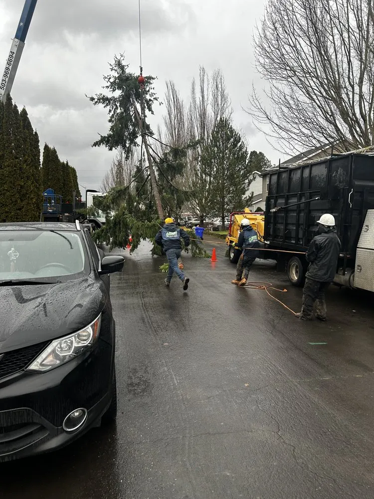 Trusted landscape installation experts serving Forest Grove, OR - Eduardo's Tree Service