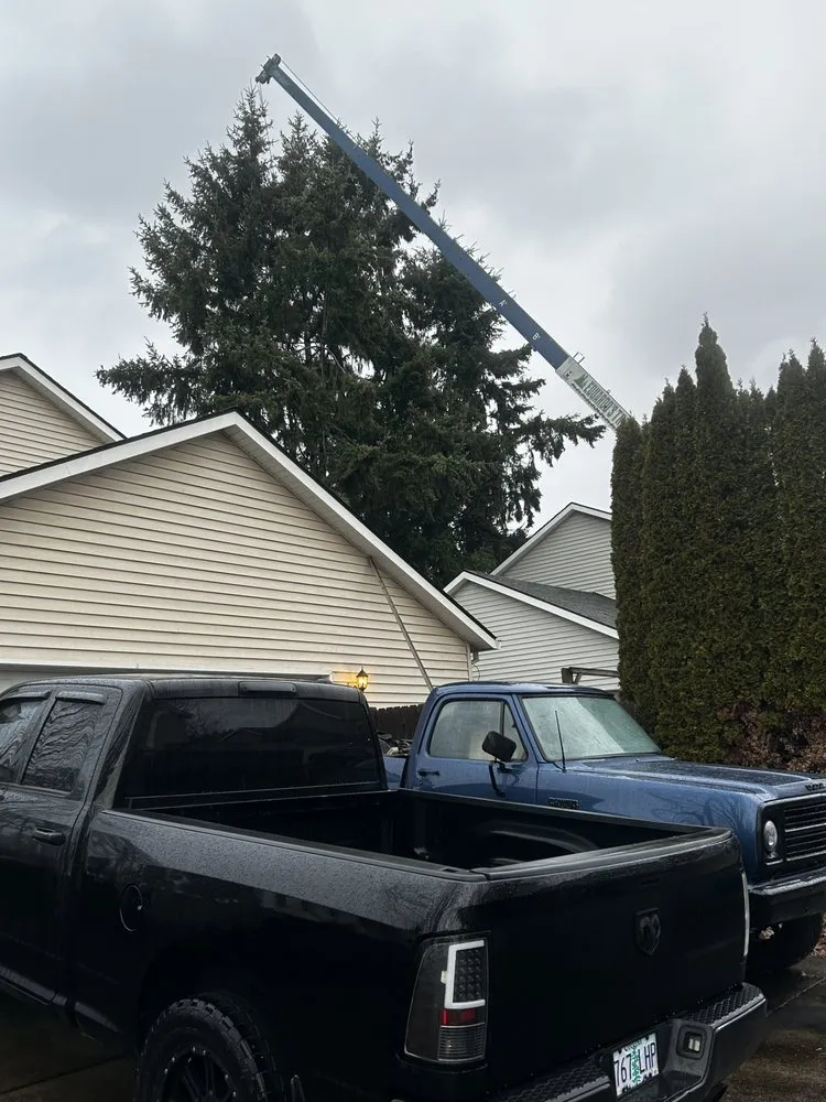 Expert yard cleanup service experts serving Forest Grove, OR - Eduardo's Tree Service