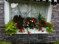 Affordable outdoor landscaping for homes across Webster, NY - Educated Landscape