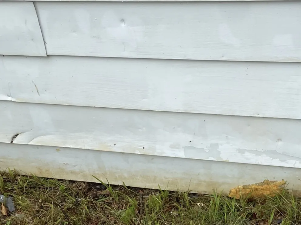 Affordable lawn mowing service in Kingsport, TN - Edward & Ellen