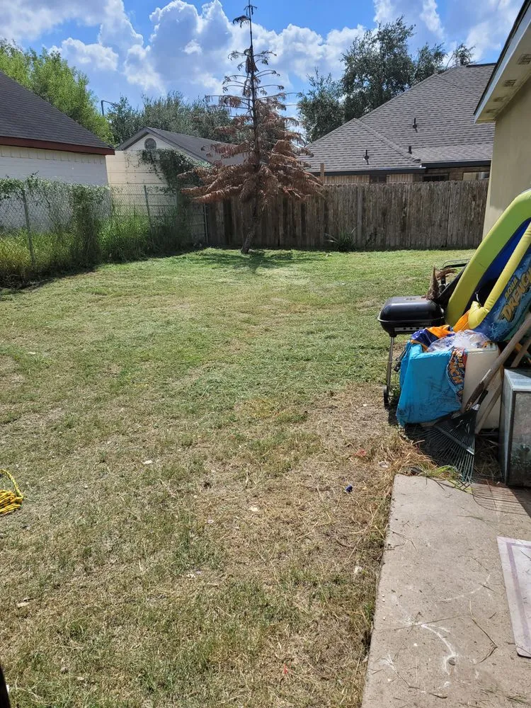 Custom lawn mowing service in San Juan, TX by Edward American Lawn Services