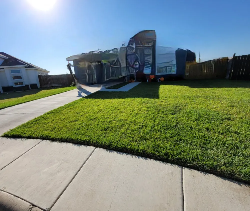 Custom lawn care service in San Juan, TX - Edward American Lawn Services